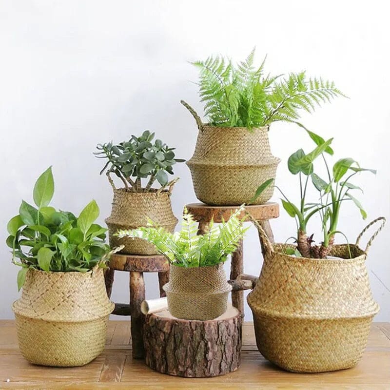 Cesta de Palha (vime/rattan/seagrass) para Organização, Roupas ou Plantas (vaso)